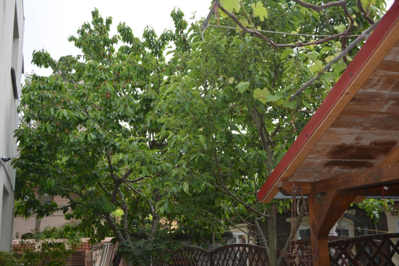 Victor Residence 38 Bucharest Exterior photo